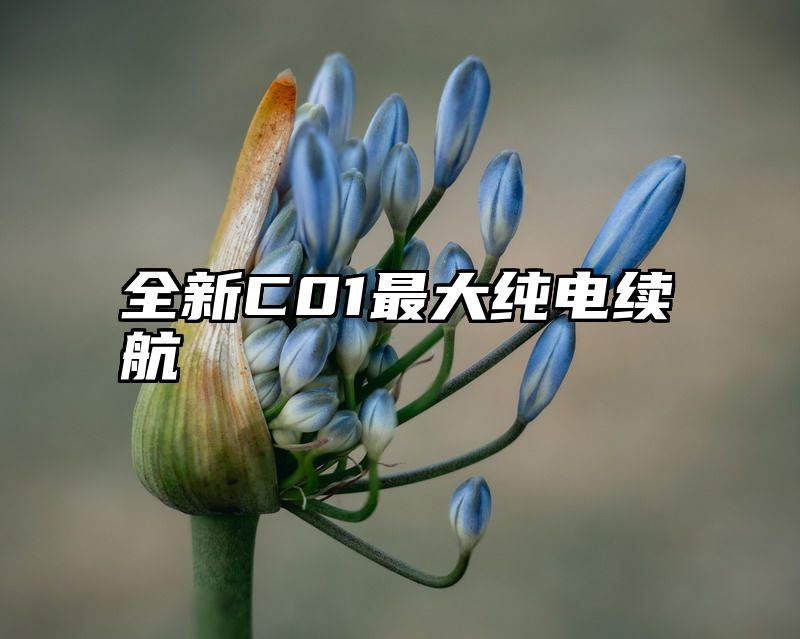 全新C01最大纯电续航