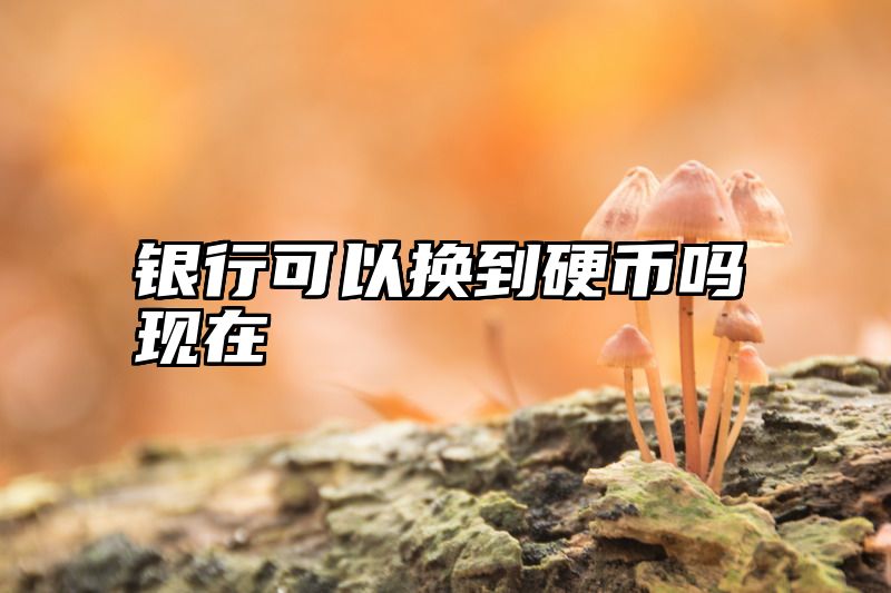 银行可以换到硬币吗现在