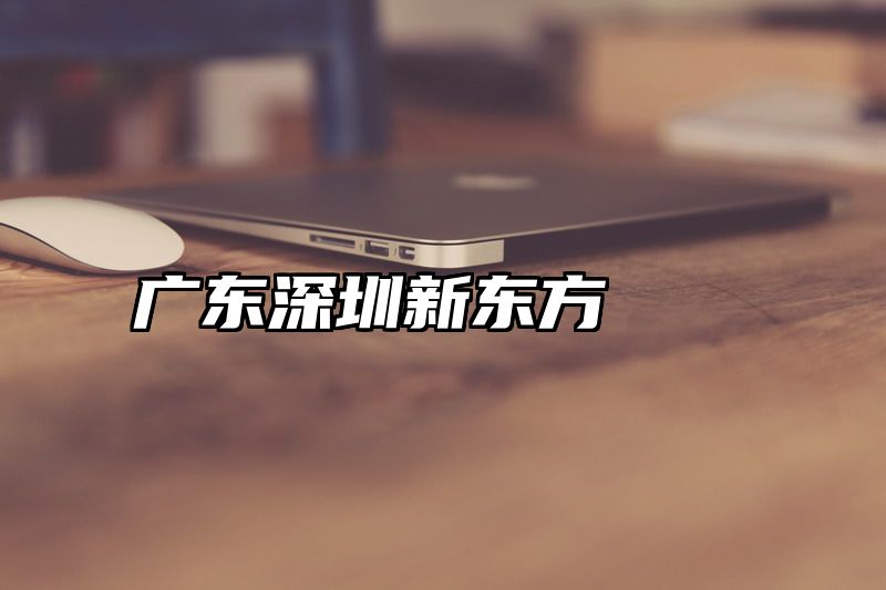 广东深圳新东方