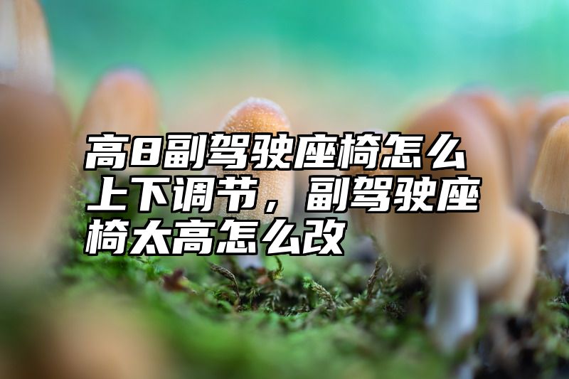 高8副驾驶座椅怎么上下调节，副驾驶座椅太高怎么改