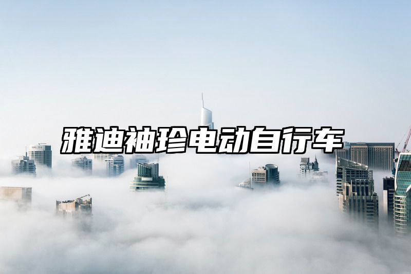 雅迪袖珍电动自行车