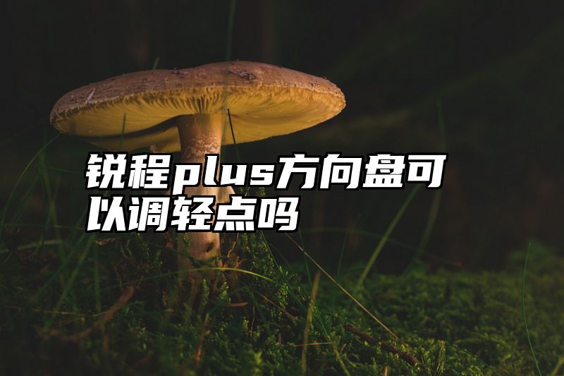 锐程plus方向盘可以调轻点吗