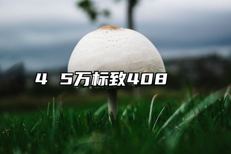 4 5万标致408