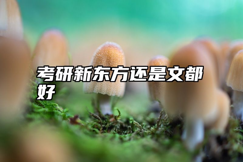 考研新东方还是文都好