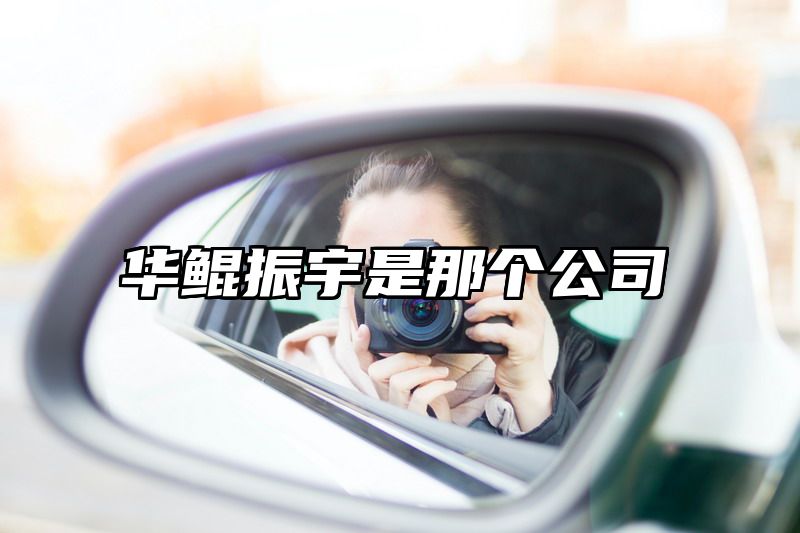 华鲲振宇是那个公司