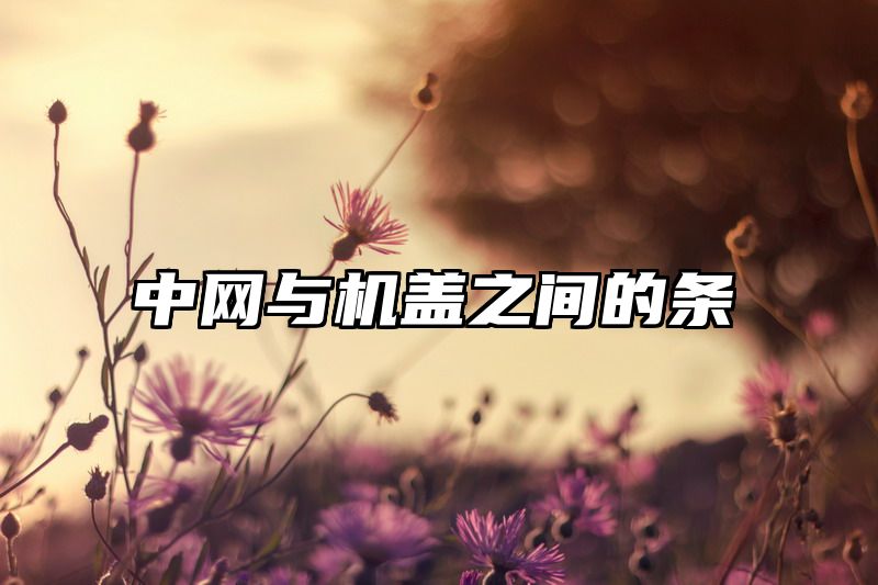 点击查看《中网与机盖之间的条》全文