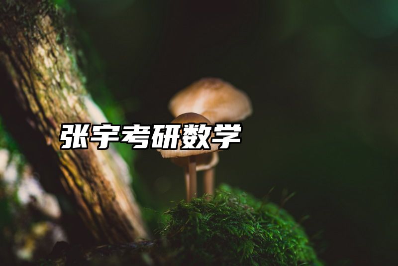 张宇考研数学
