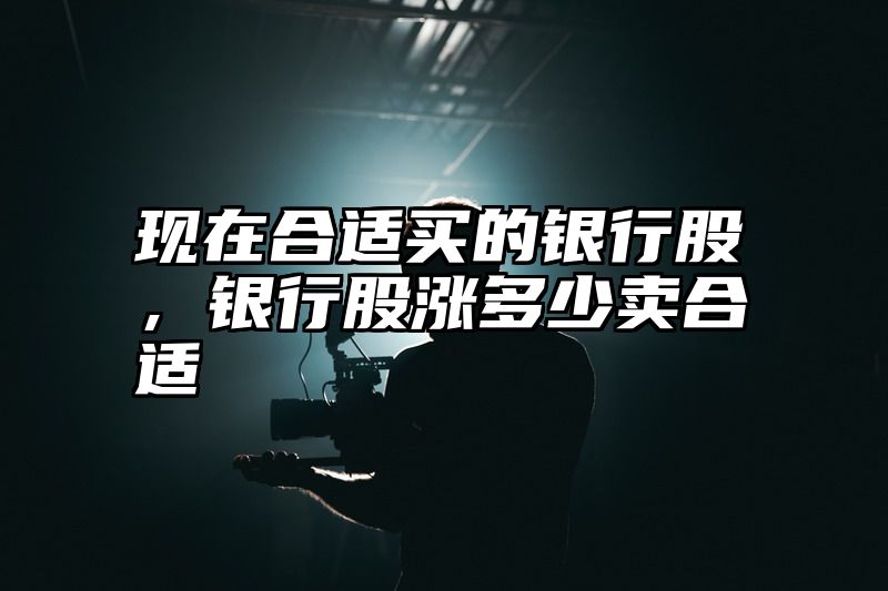 现在合适买的银行股，银行股涨多少卖合适