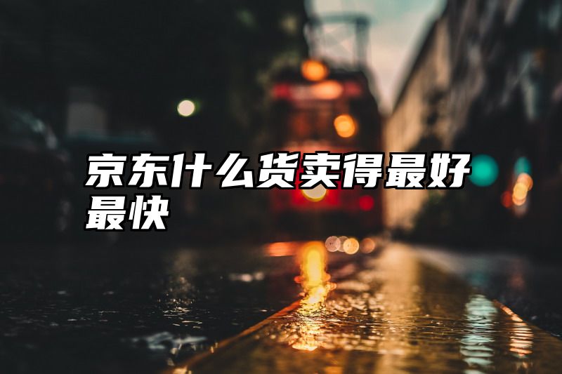 京东什么货卖得最好最快