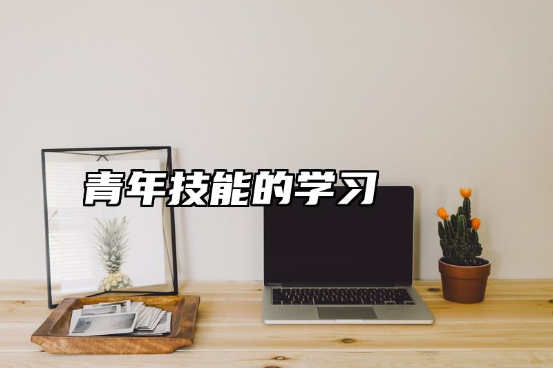 青年技能的学习