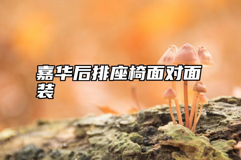 嘉华后排座椅面对面装