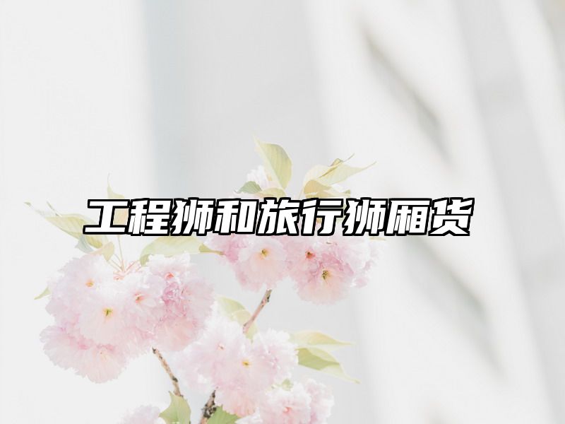 工程狮和旅行狮厢货