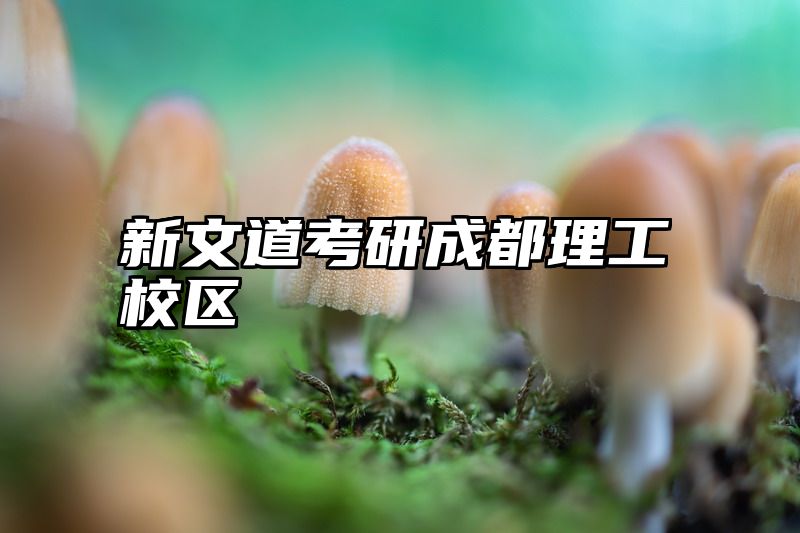 新文道考研成都理工校区