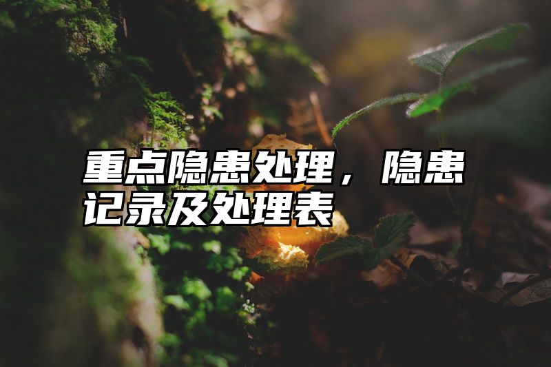重点隐患处理，隐患记录及处理表