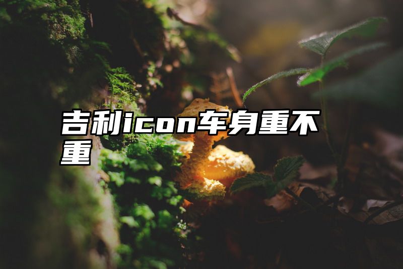 吉利icon车身重不重