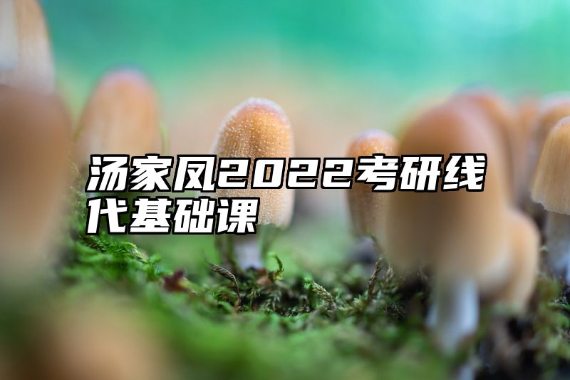 汤家凤2022考研线代基础课