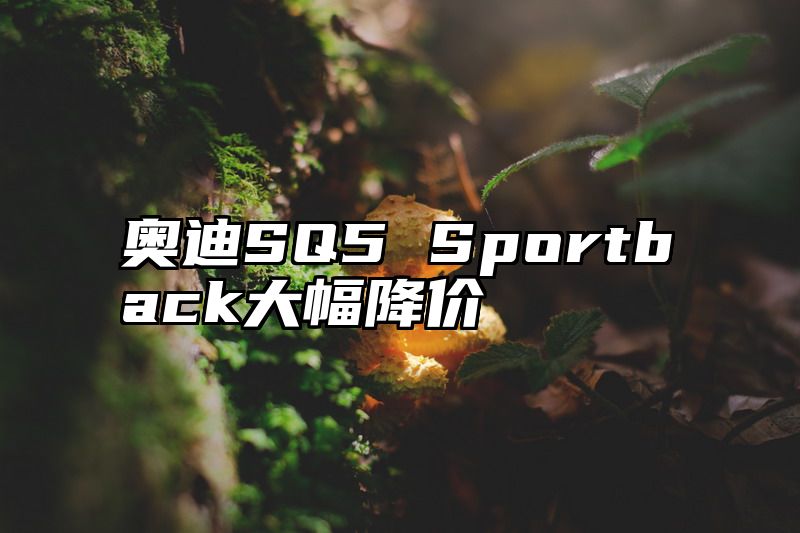 奥迪SQ5 Sportback大幅降价