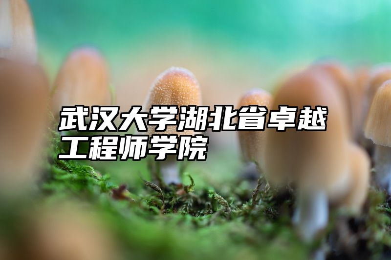 武汉大学湖北省卓越工程师学院