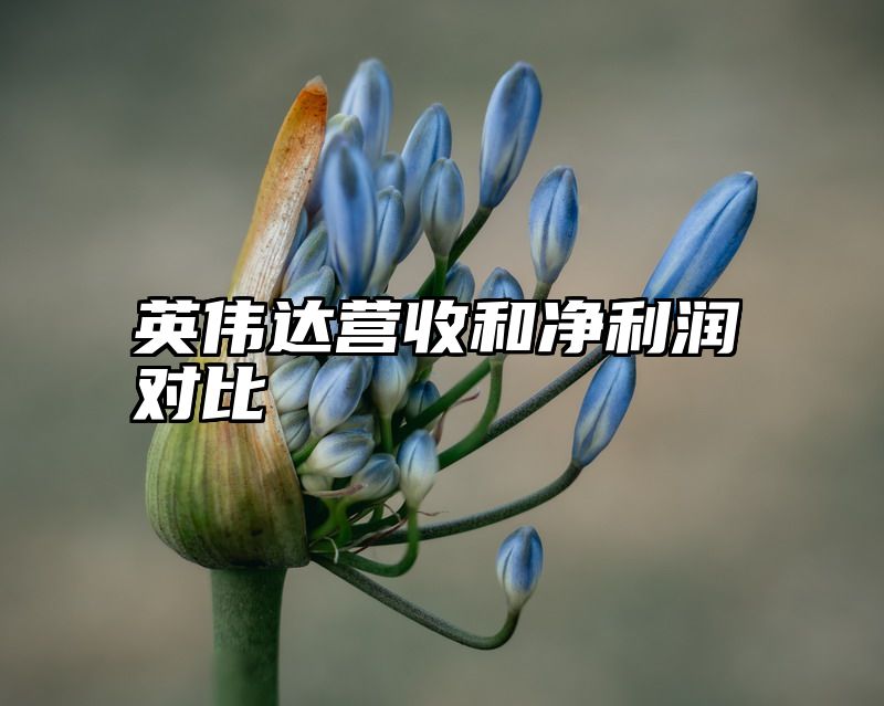 英伟达营收和净利润对比