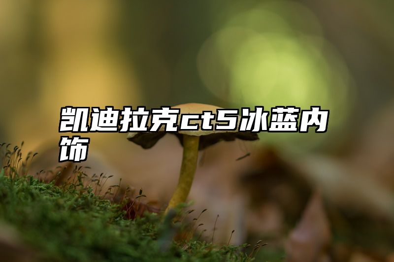 凯迪拉克ct5冰蓝内饰