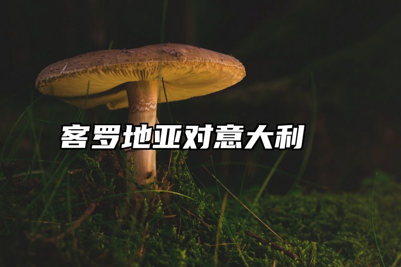 客罗地亚对意大利