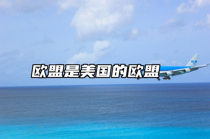 欧盟是美国的欧盟