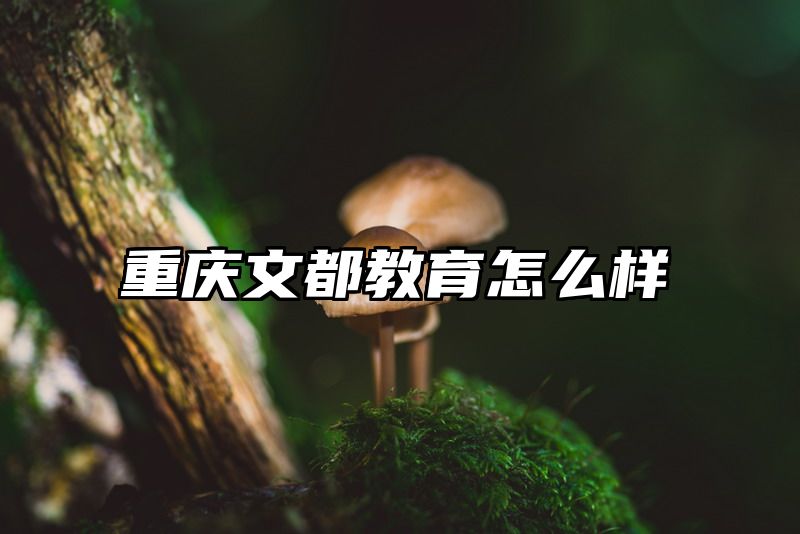 重庆文都教育怎么样