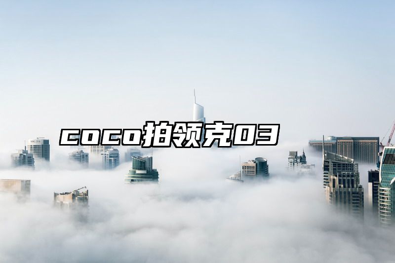 coco拍领克03