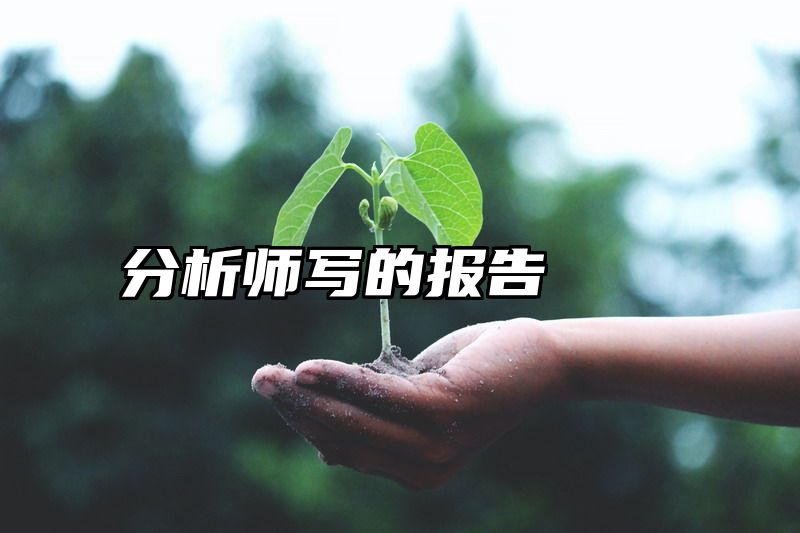 分析师写的报告