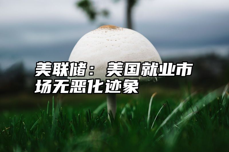 美联储：美国就业市场无恶化迹象