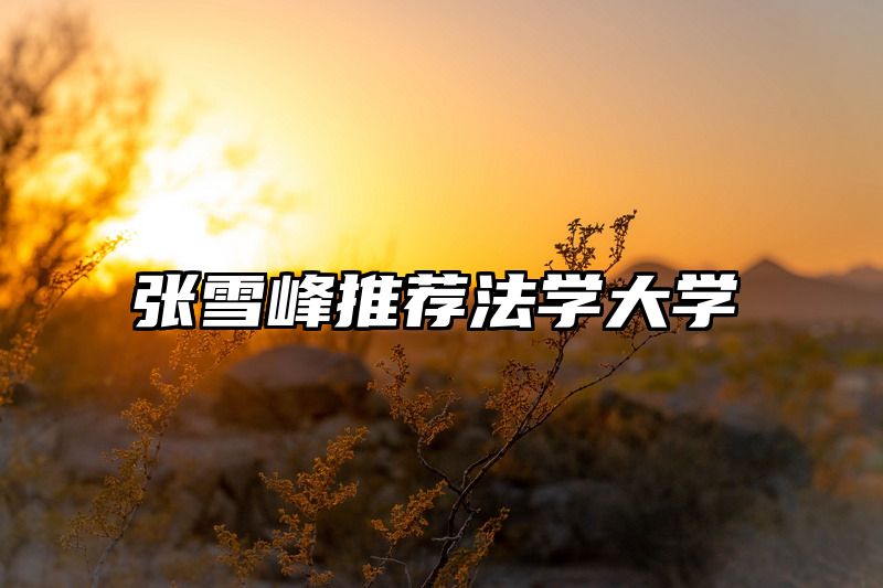 张雪峰推荐法学大学