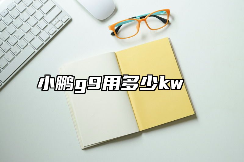 小鹏g9用多少kw