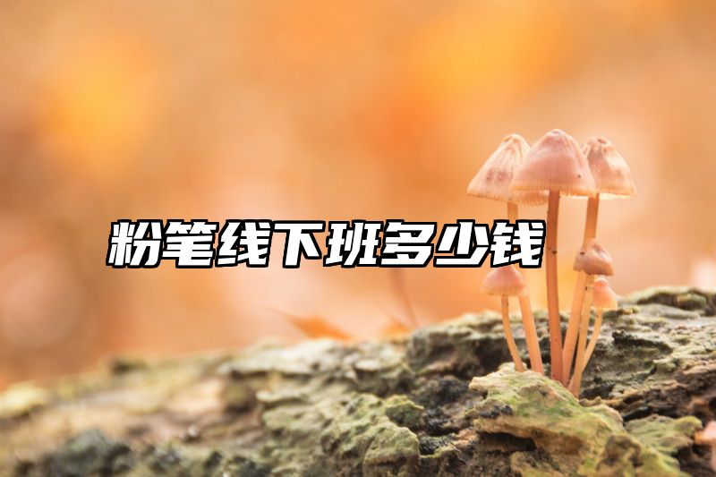粉笔线下班多少钱