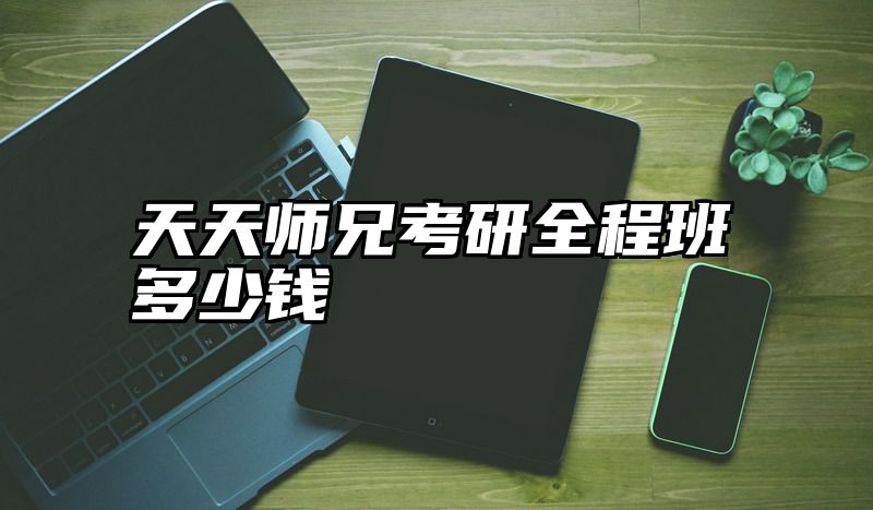 天天师兄考研全程班多少钱