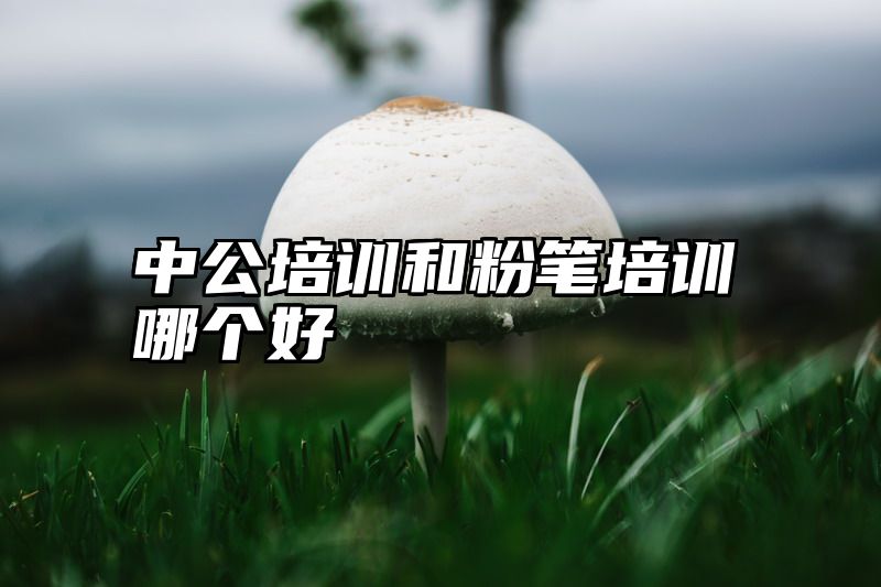 中公培训和粉笔培训哪个好