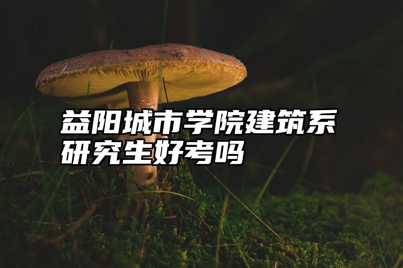 益阳城市学院建筑系研究生好考吗