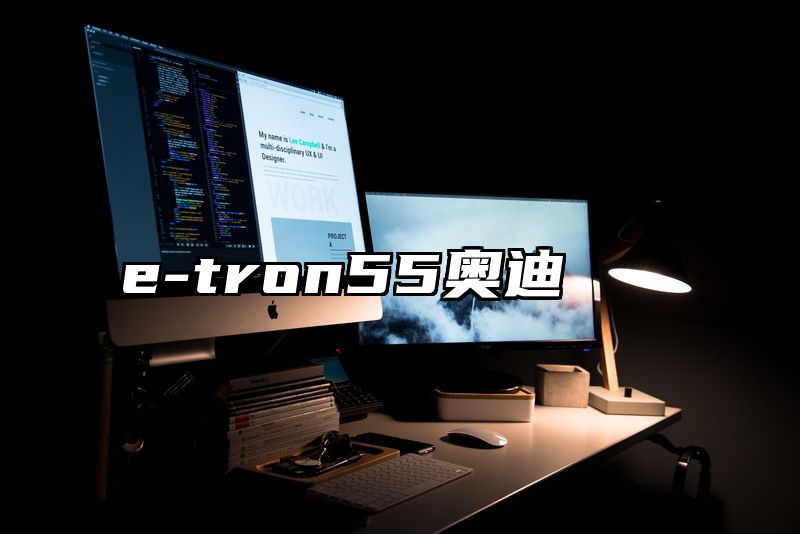 e-tron55奥迪
