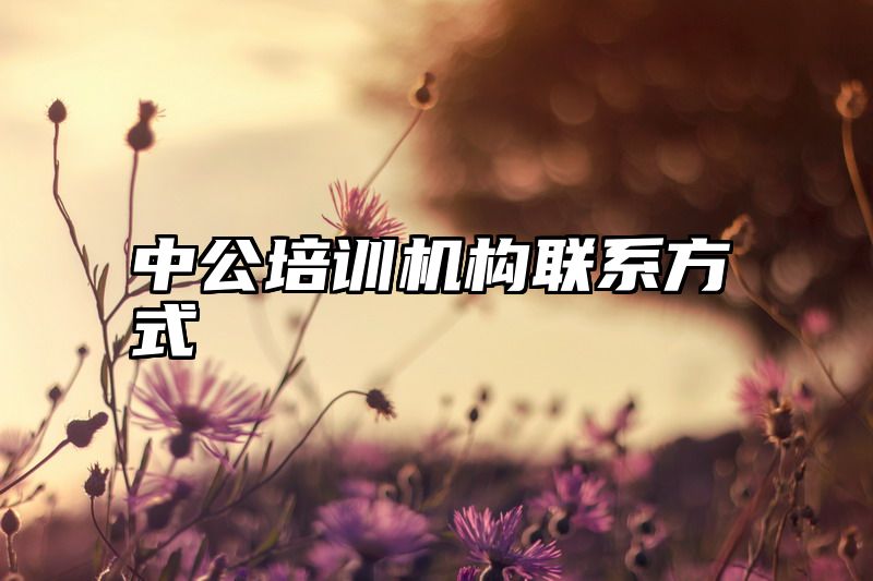 中公培训机构联系方式