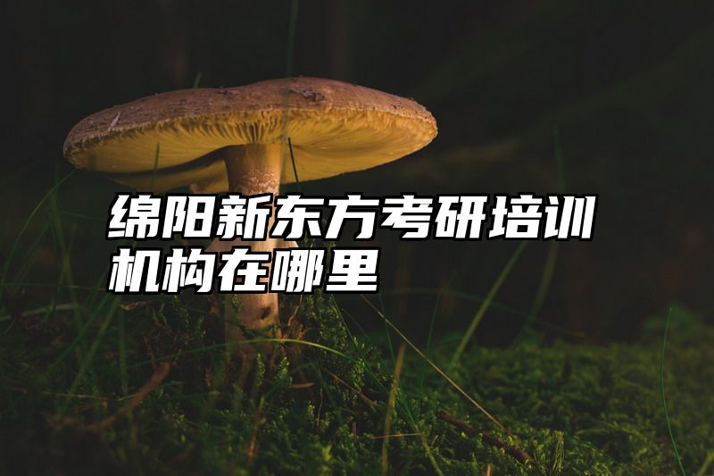 绵阳新东方考研培训机构在哪里