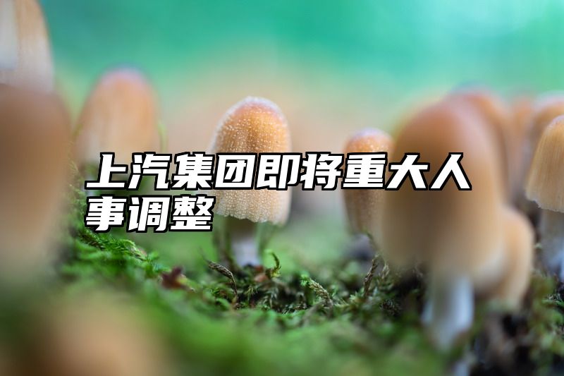 上汽集团即将重大人事调整