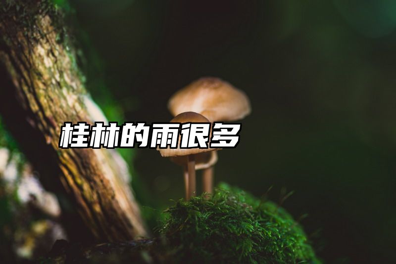 桂林的雨很多