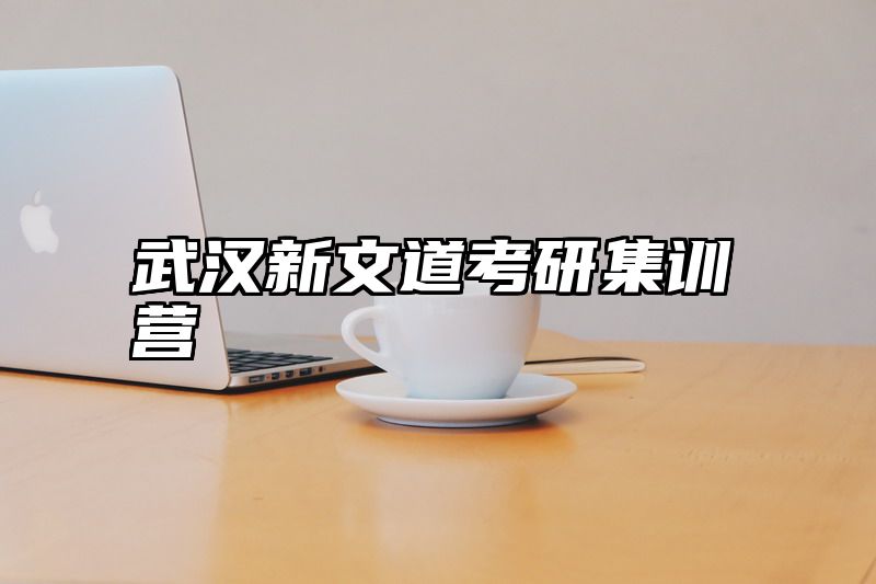 武汉新文道考研集训营
