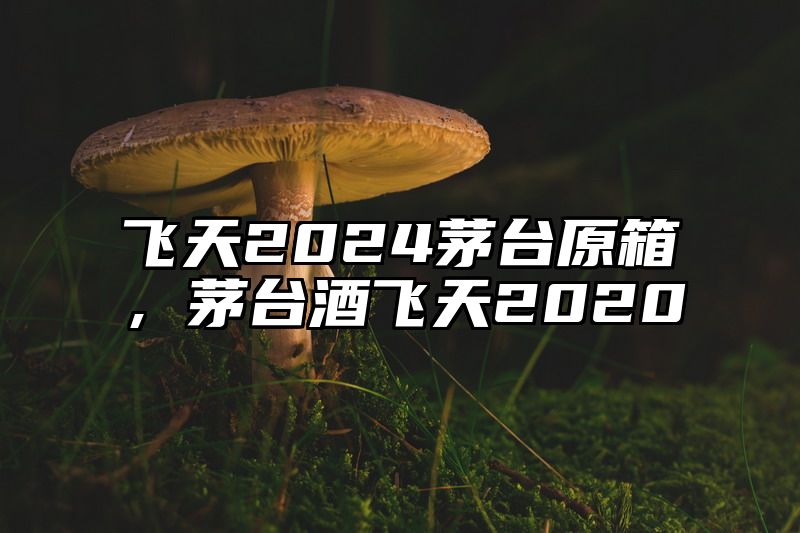 飞天2024茅台原箱，茅台酒飞天2020