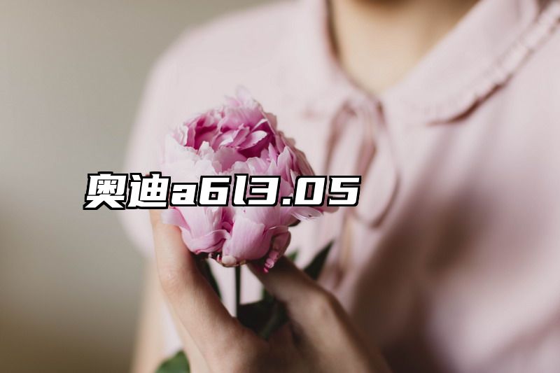 奥迪a6l3.05