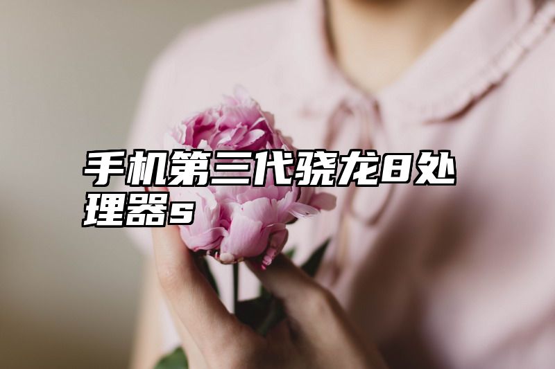 手机第三代骁龙8处理器s