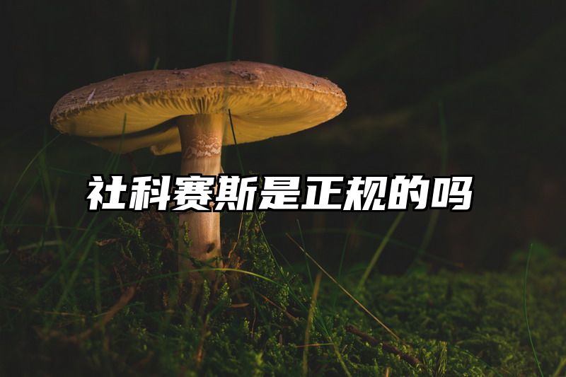 社科赛斯是正规的吗