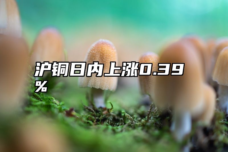 沪铜日内上涨0.39%