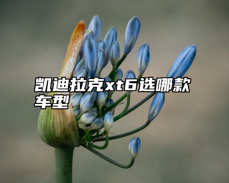 凯迪拉克xt6选哪款车型
