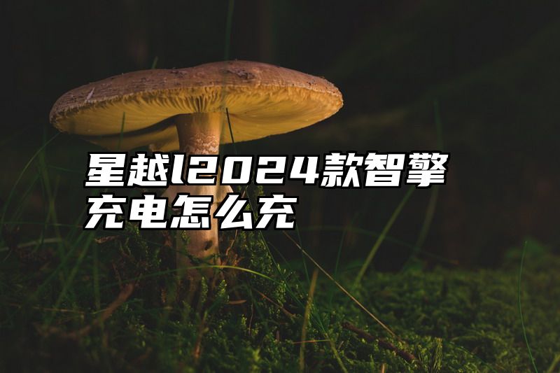 星越l2024款智擎充电怎么充