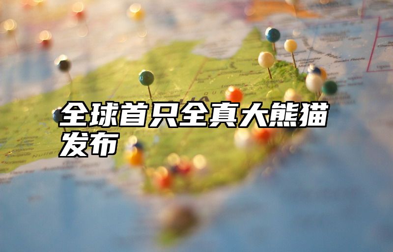全球首只全真大熊猫发布